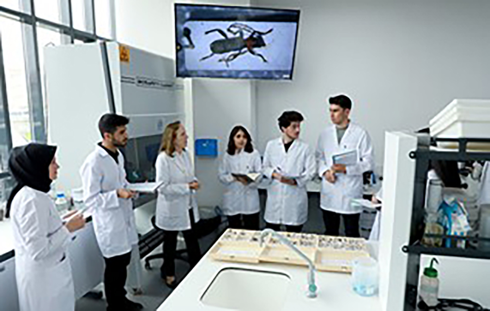 Kalite Lab.