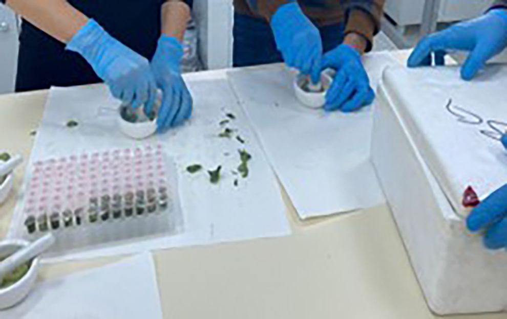 Moleküler Genetik Lab.