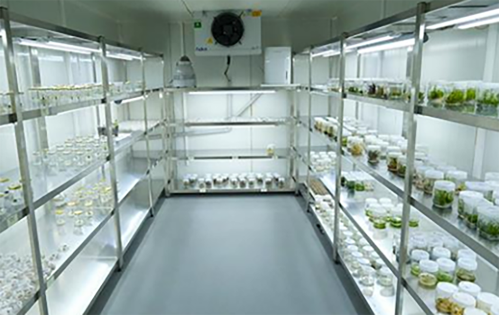 Bitki Koruma Lab.