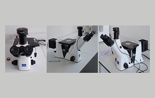 Optik Mikroskop Cihazı