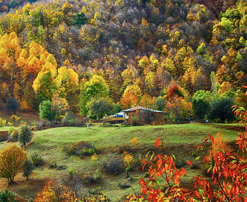Doğanşar Tabiatı