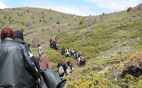 Fotoğrafçılık Topluluğu Doğa Gezisi